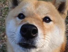 开云体育官网-冰火两重天，爱德华兹的孤星闪耀与凯尔特人的窒息美学