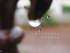 开云APP-双线胜利，劳塔罗引爆梅阿查，AC米兰大洋彼岸奏凯歌