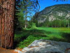 开云体育下载-伊萨克，一场以教科书之名，写下的北欧冷锋过境记