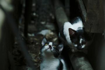 开云体育入口-西班牙争冠战力克埃及，马丁内利在意甲焦点战接管比赛