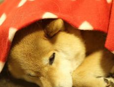 开云体育在线-鏖战费城，布伦森教科书式演出，老鹰坚韧突围照亮争冠新格局