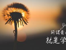 开云体育登录-闪耀的孤星，迪亚斯用巨星之光照亮洪都拉斯的生死之路