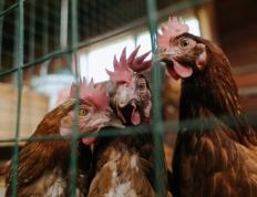 开云体育官方网站-闪电划破慕尼黑夜空，托尼一击定江山，拜仁生死战绝境突围