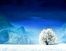 开云官网-巴黎惊天逆转！恩里克变阵击溃波兰堡垒，欧冠决赛门票终入手