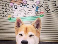 开云体育中国-篮球与足球的统治力交响曲，76人碾压奇才，切特在2026世界杯接管比赛