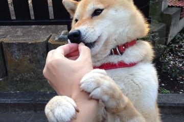 开云体育-攻防转换的艺术，解码F1年度争冠之夜的乔治核心论