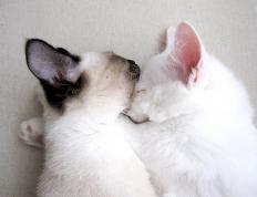 开云体育平台APP-钢铁中卫的审判日，当德里赫特将防线打爆变成动词