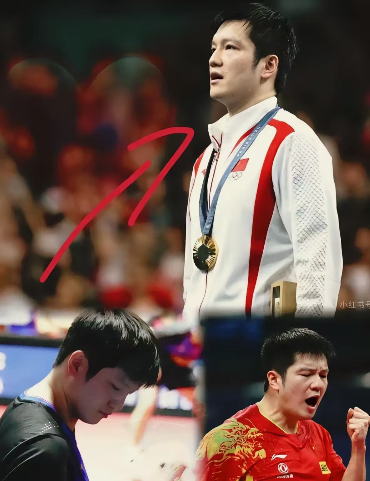 开云体育入口-法国队完胜奥地利队，樊振东刷新纪录