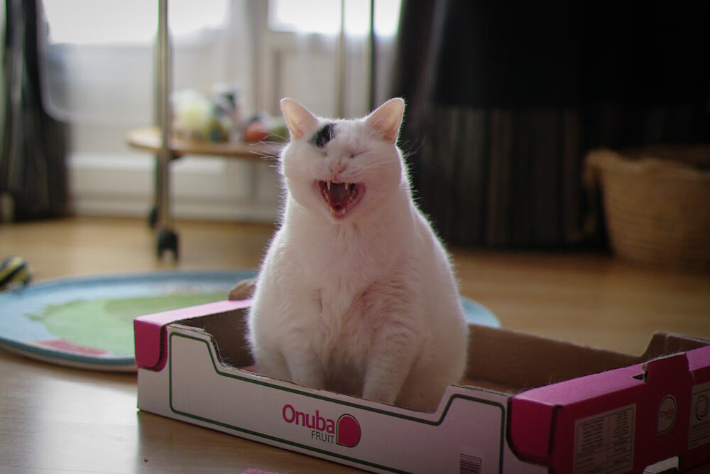 开云体育官网-世纪爆冷！2026世界杯焦点战，马赛橄榄球式足球正面击溃马德里竞技