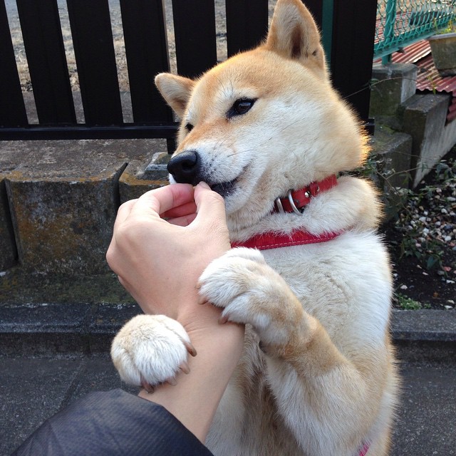 开云体育登录-德布劳内持续制造杀伤，德国血拼卡塔尔，效率足球的两极对话