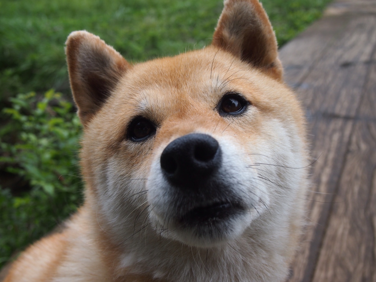 开云体育官方网站-从紫金荣耀到未来传奇,保罗如何在2026世界杯书写新篇章