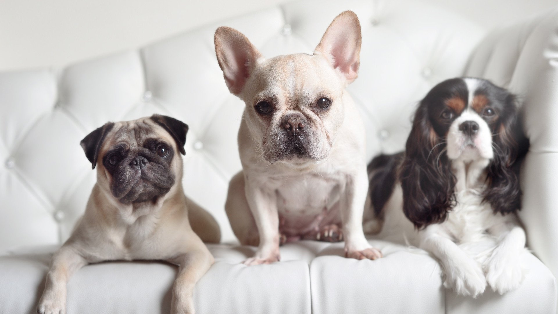 开云体育app-F1新赛季揭幕战,克莱之夜,个人能力璀璨绽放